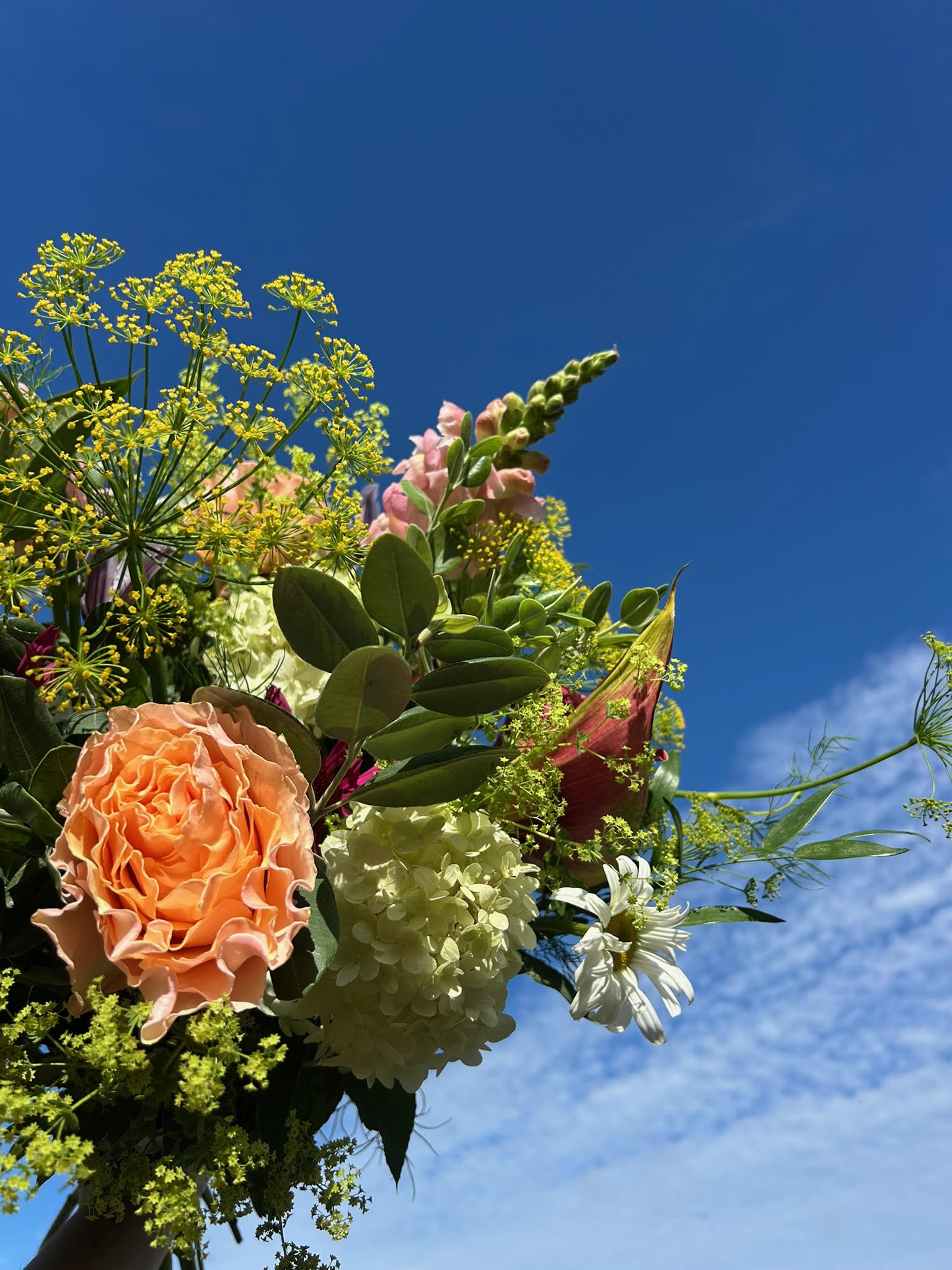 Farverig sommerbuket løftet mod en blå sommerhimmel